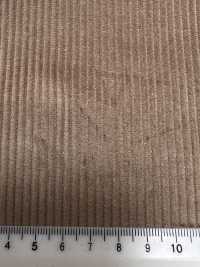 CD5501-BE Pana Japonesa Estándar De 8W, Sin Estampado, Beige[Textil] Más fotos