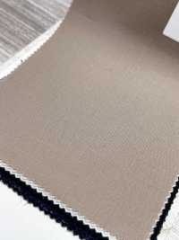 CW3501-BE Colección estándar de colores de lana nacional beige[Textil] HOSOI SYOJI Más fotos
