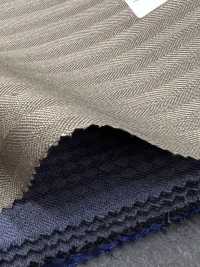TG6531 T.G Di FABIO Raya caqui[Textil] HOSOI SYOJI Más fotos